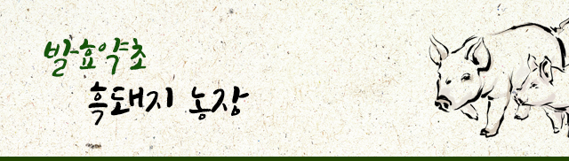 발효약초흑돼지농장