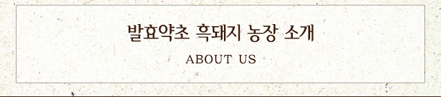 소개 