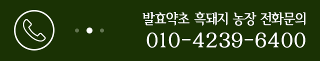전화문의
