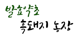 발효약초흑돼지농장
